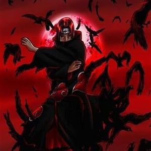 Meet your Posher, Aka